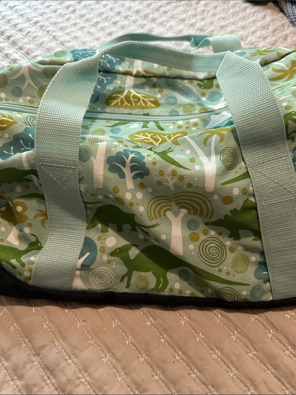 Kids Dino Print Duffle Bag in Mint and Green